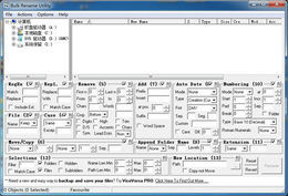 Bulk Rename Utility x64