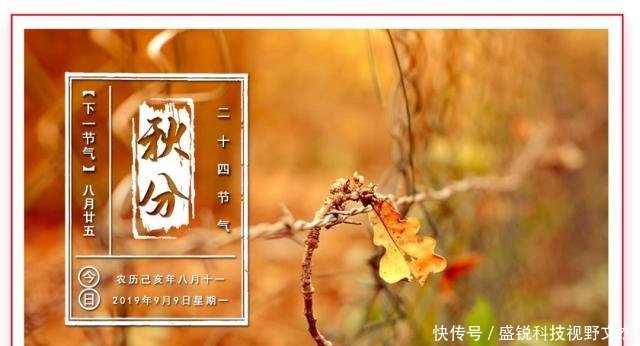 猪养殖场的建设