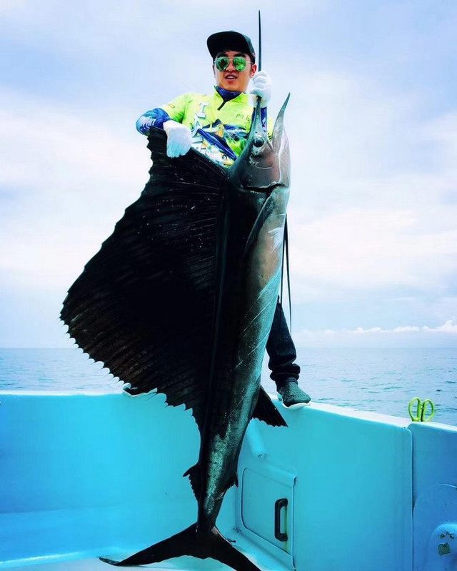 幼崽和成年不一样