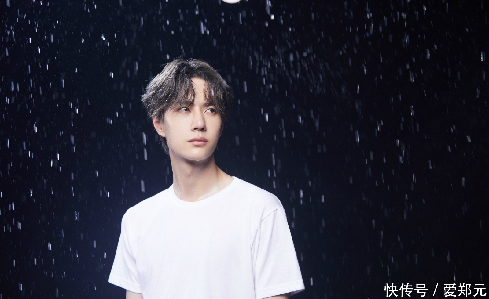 汪涵对王一博怎样