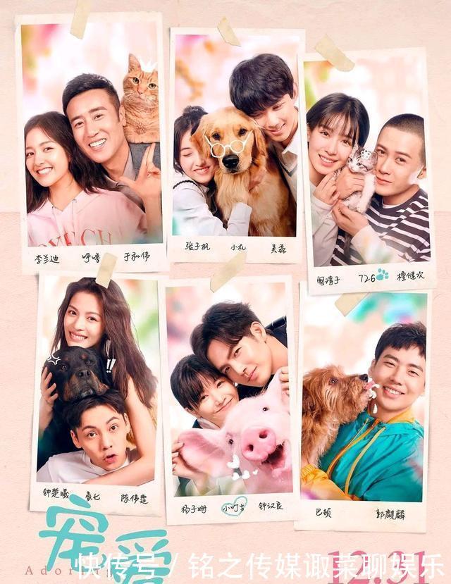 陈伟霆钟楚曦宠爱