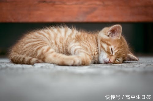 考试啊考试作文