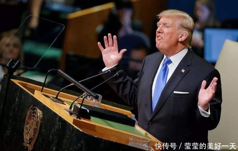 联合国草案和决议草案