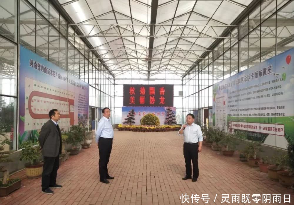 2019主要工作情况