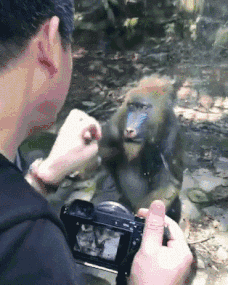 飞机机长飞机班