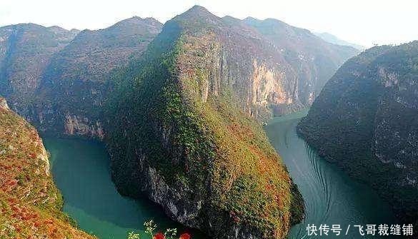 两岸猿声啼不住员是什么猿