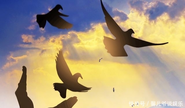 2020考研政治选择