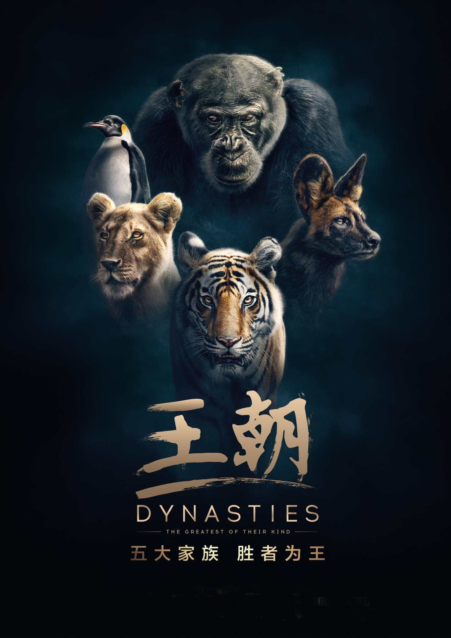 王朝(纪录片)全5集_电视剧_完整版介绍_超级校内网电影网