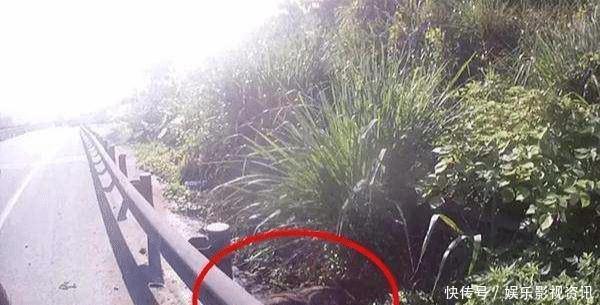 被撞死了全责怎么办