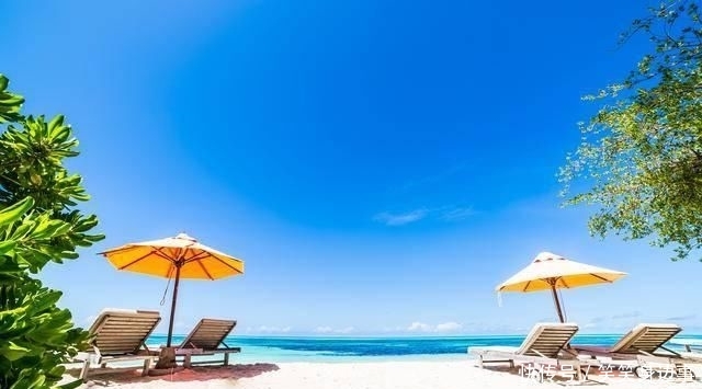 考研专业课很贵