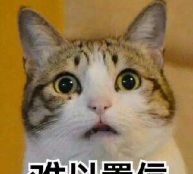 北站的地铁是几号线地铁