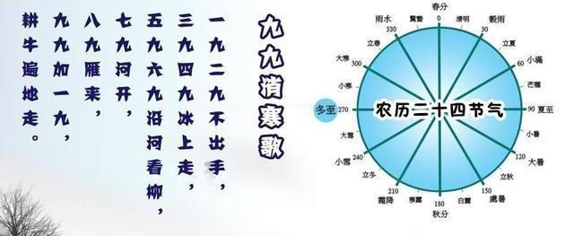 冬至大如年一起吃水饺