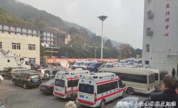 杉木树透水事件