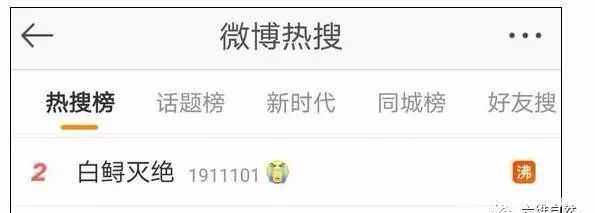 世界上最大的长江白鲟