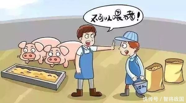 非洲非洲猪瘟疫情现状