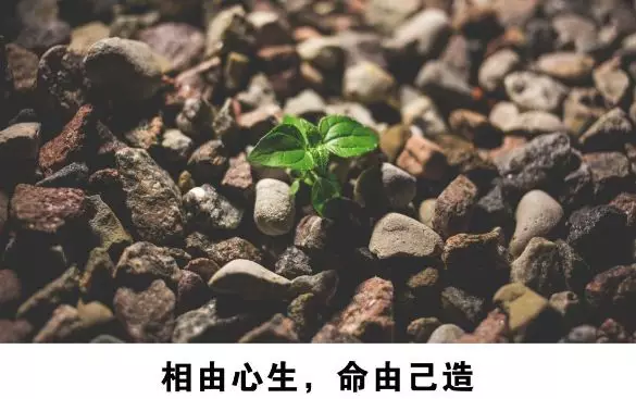 收获还是收获