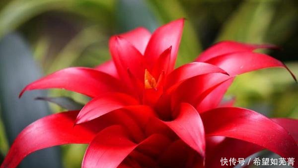 愿新年胜旧年解析