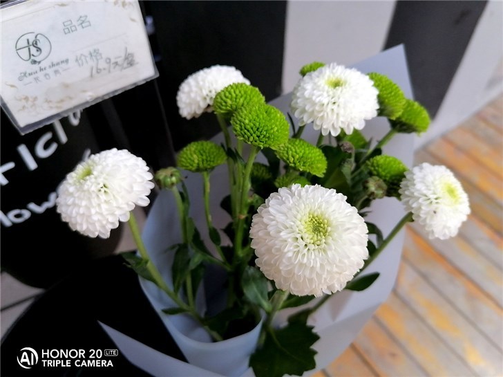 青春版荣耀20的手机