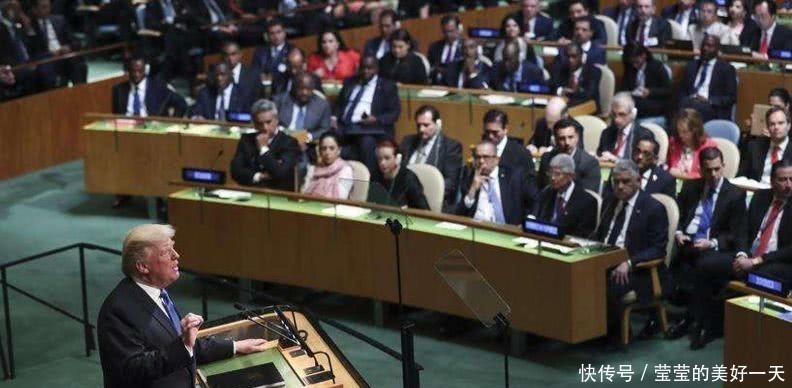 联合国草案和决议草案