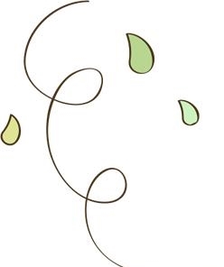 十九届四中全会总结