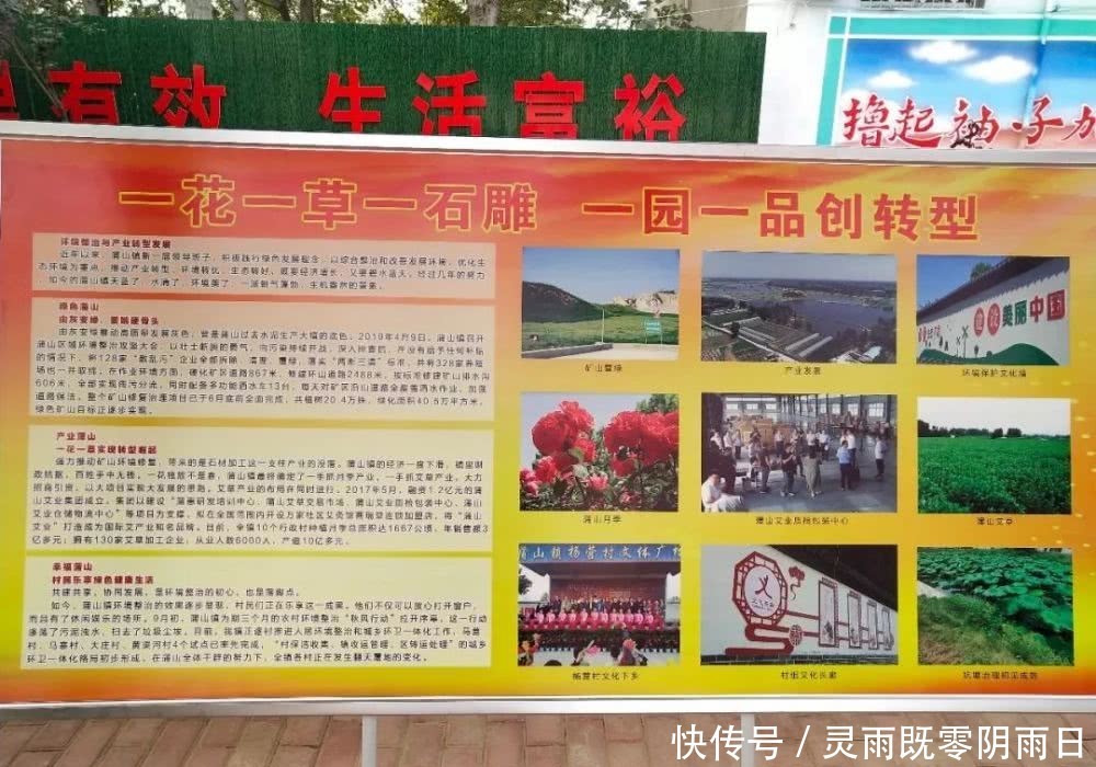 2019主要工作情况