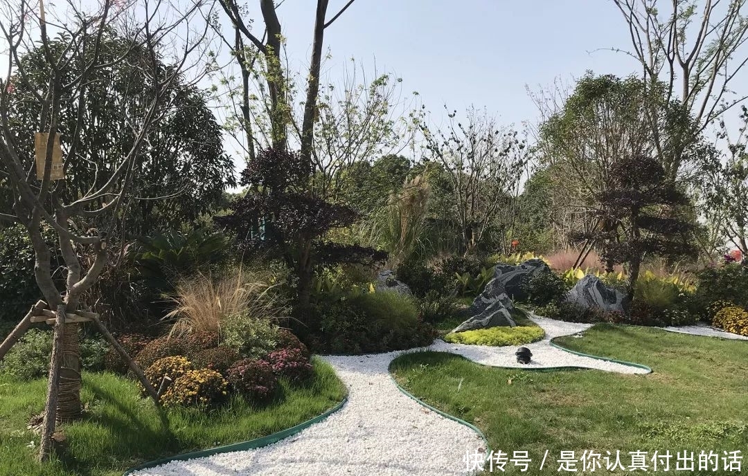 去公园的去公园