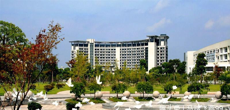 在浙江省内的大学排名