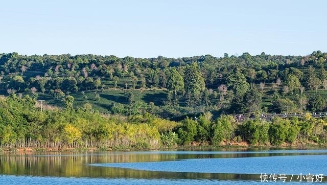 普洱茶怎么不是普洱的