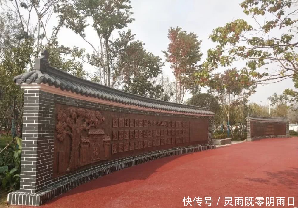 2019主要工作情况