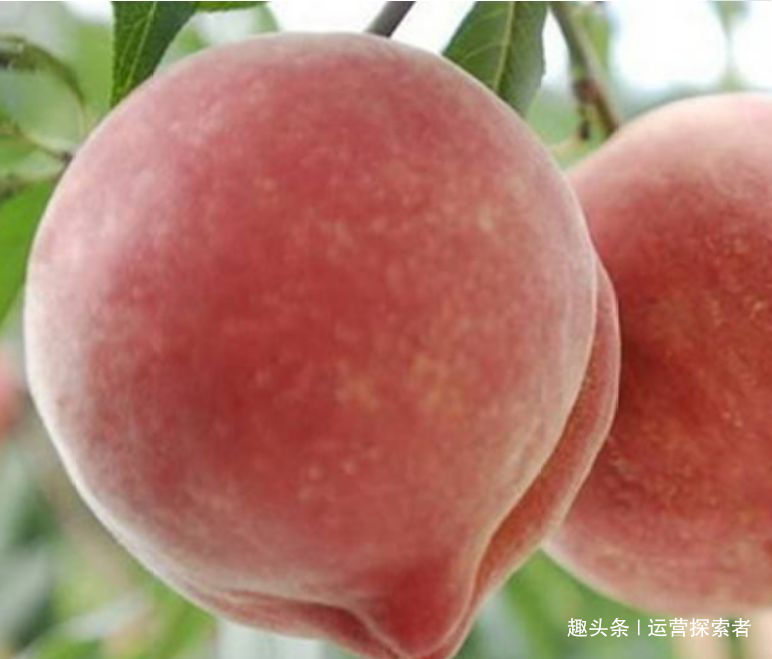 怎么在抖音上找抖音号