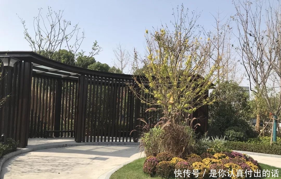 去公园的去公园