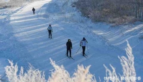 十四冬滑雪项目