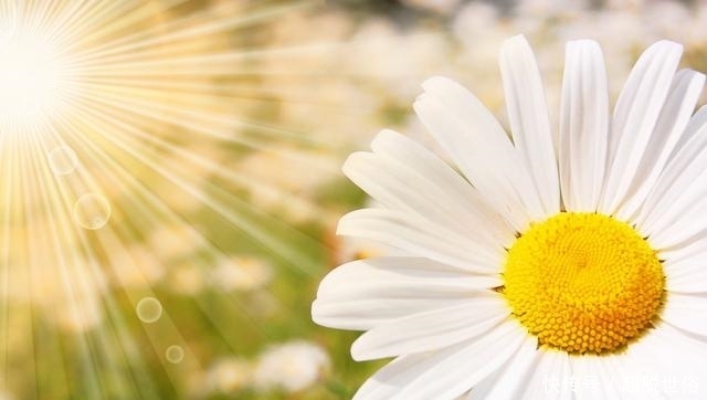 等来等去没了时间