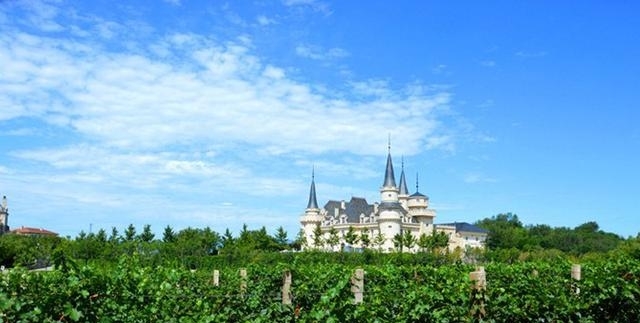 张裕葡萄酒国际