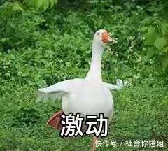 王一博那个组合的