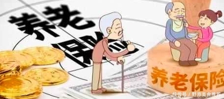 退休后就业退休金