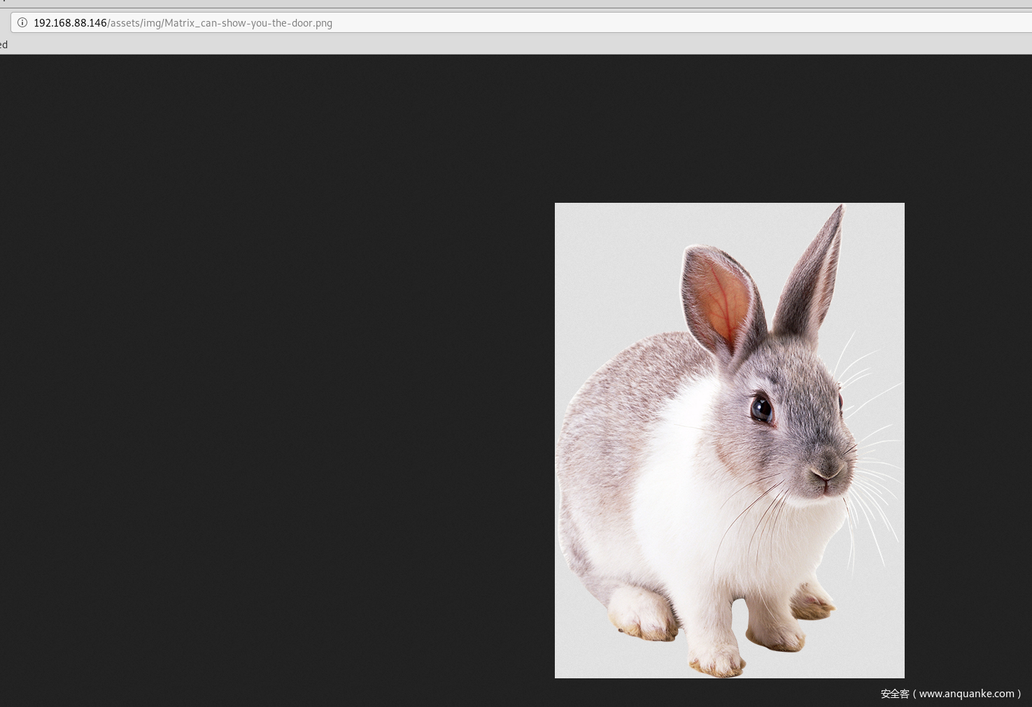 assets_image.png assets_image.png