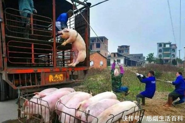 陕西疫情新报告