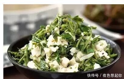 人是什么都吃吗