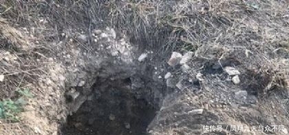 山东济南的人咋样