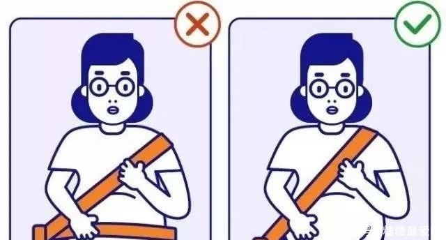 后排乘客也要系安全带吗