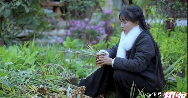 李子柒是文化吗