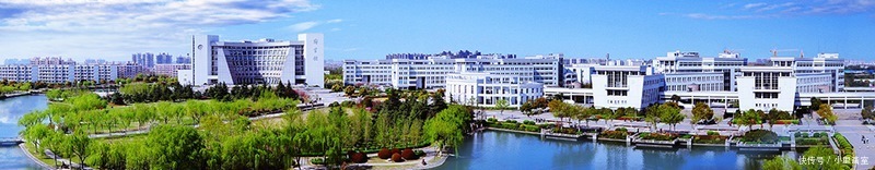 2020美术取消校考的院校