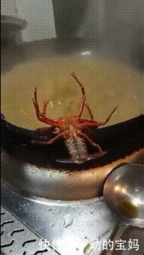 什么动物春天来了