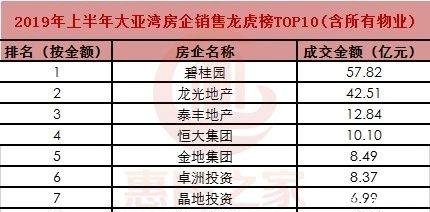 2019中国房企排名富力