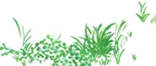 我们一起走过的2019