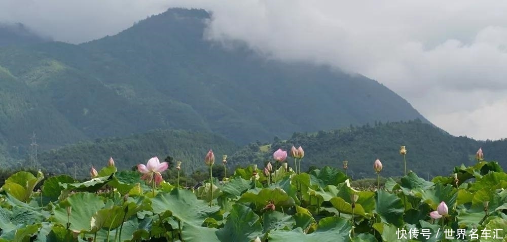 2019年云南省群众安全感