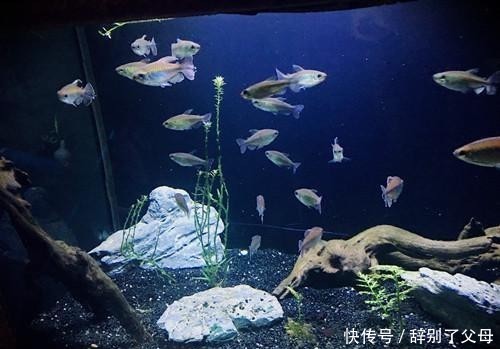 我国自主研发材料