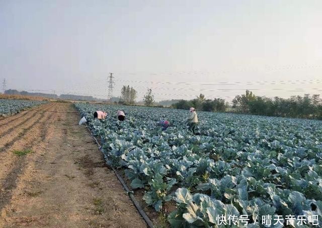 促进农业特色发展